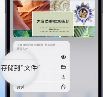 甘州apple维修中心分享iPhone文件应用中存储和找到下载文件