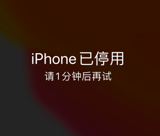 甘州苹果手机维修分享:iPhone 显示“不可用”或“已停用”怎么办？还能保留数据吗？ 