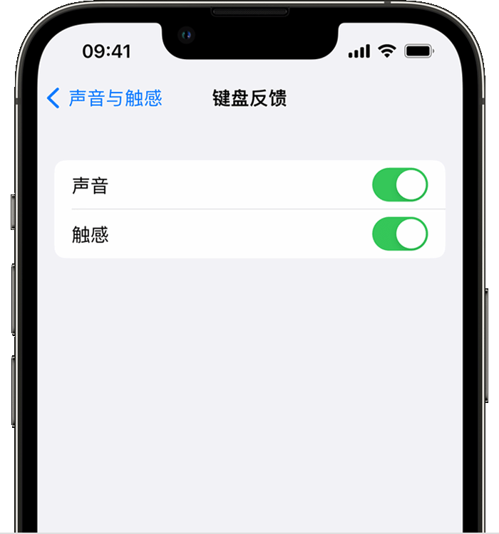 甘州苹果14维修店分享如何在 iPhone 14 机型中使用触感键盘 