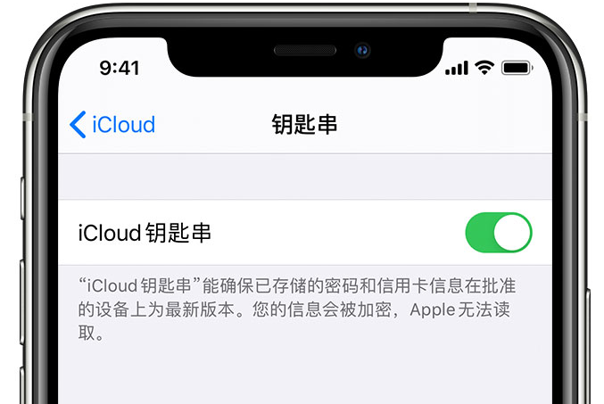 甘州苹果手机维修分享在 iPhone 上开启 iCloud 钥匙串之后会储存哪些信息 