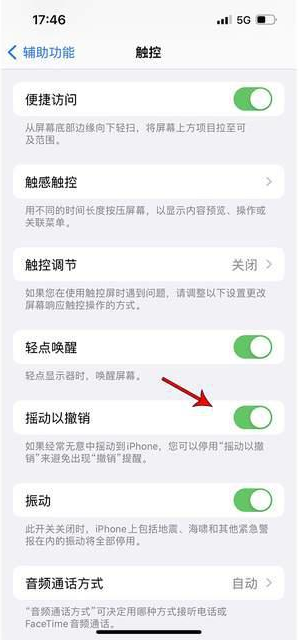 甘州苹果手机维修分享iPhone手机如何设置摇一摇删除文字 